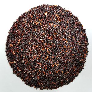 Schwarze Quinoa Körner