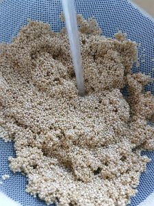 Weiße Quinoa wird gespült